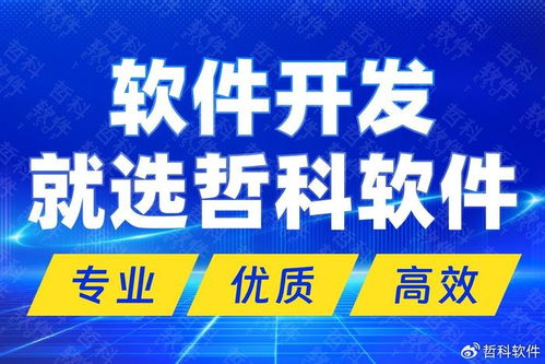 解碼技術(shù)開發(fā)新高度 國內(nèi)頂尖軟件開發(fā)公司的核心優(yōu)勢與市場制勝之道