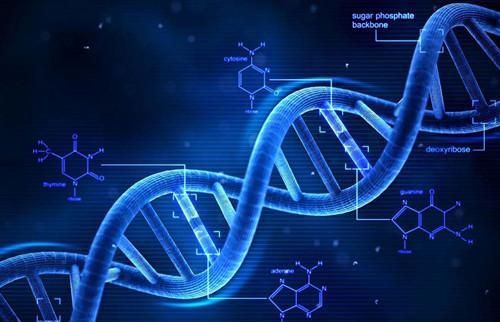 克隆技術(shù) 從喧囂到沉寂，科學家的解答揭示深層原因