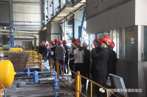 對標先進拓思路，鉬都利豪飯店管理人員及先進員工代表赴集團公司參觀學習酒店管理經驗